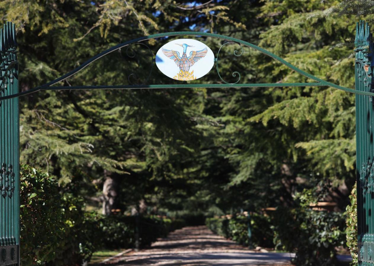 Villa Fenicia Ruvo di Puglia Exterior photo